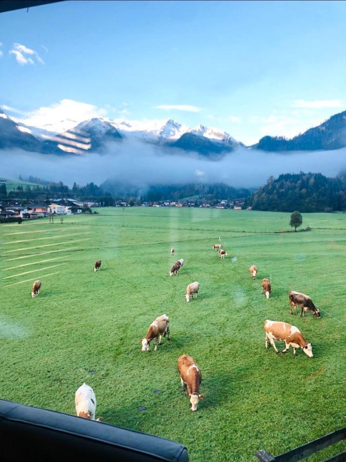 Apartment Weitblick Wald im Pinzgau Εξωτερικό φωτογραφία