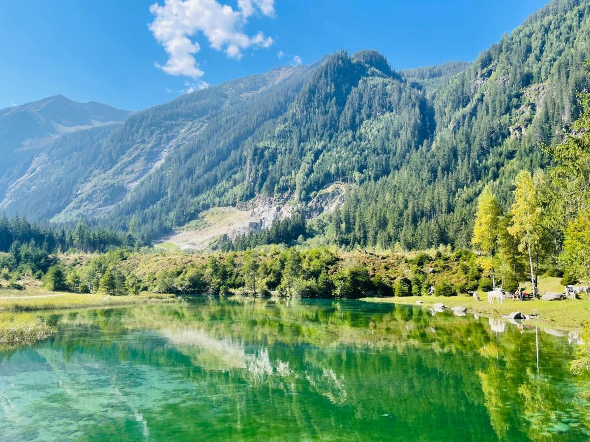 Apartment Weitblick Wald im Pinzgau Εξωτερικό φωτογραφία