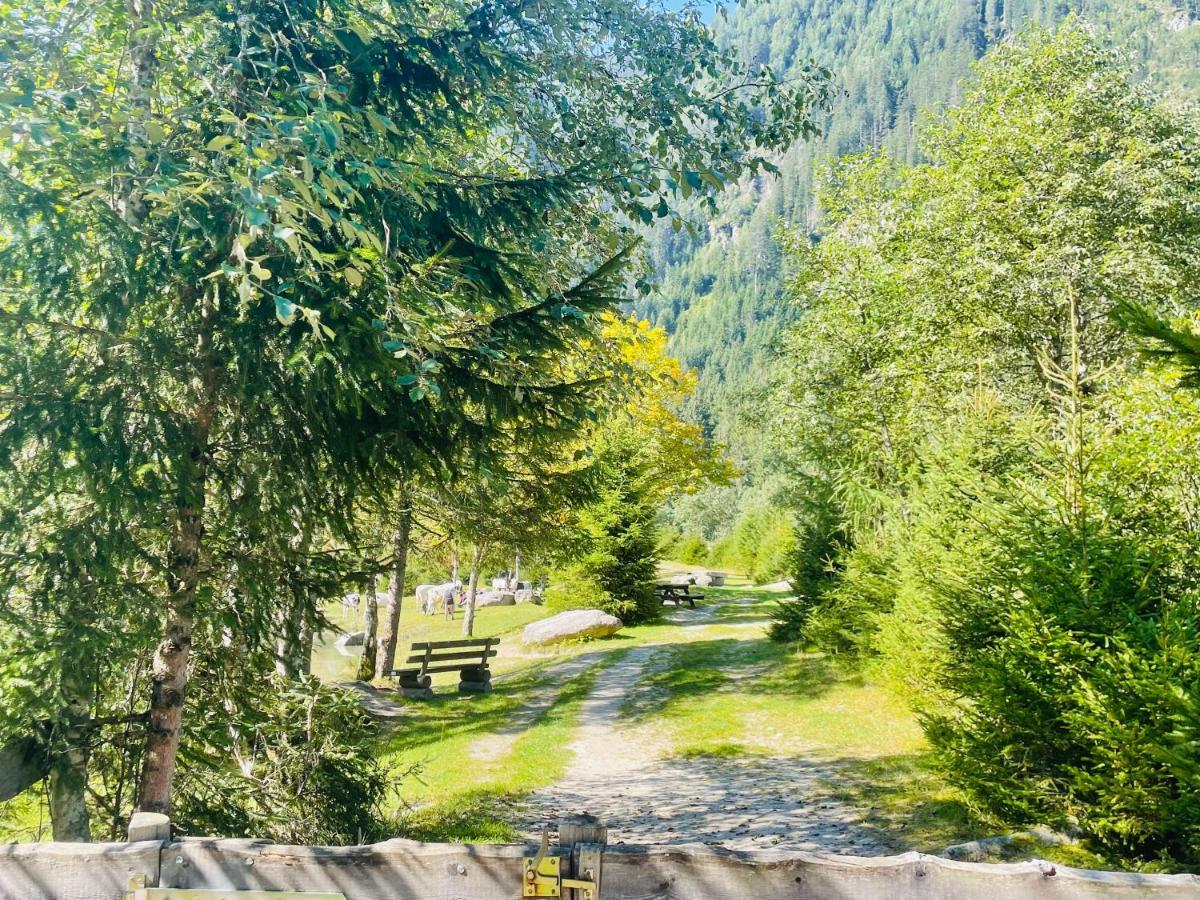 Apartment Weitblick Wald im Pinzgau Εξωτερικό φωτογραφία