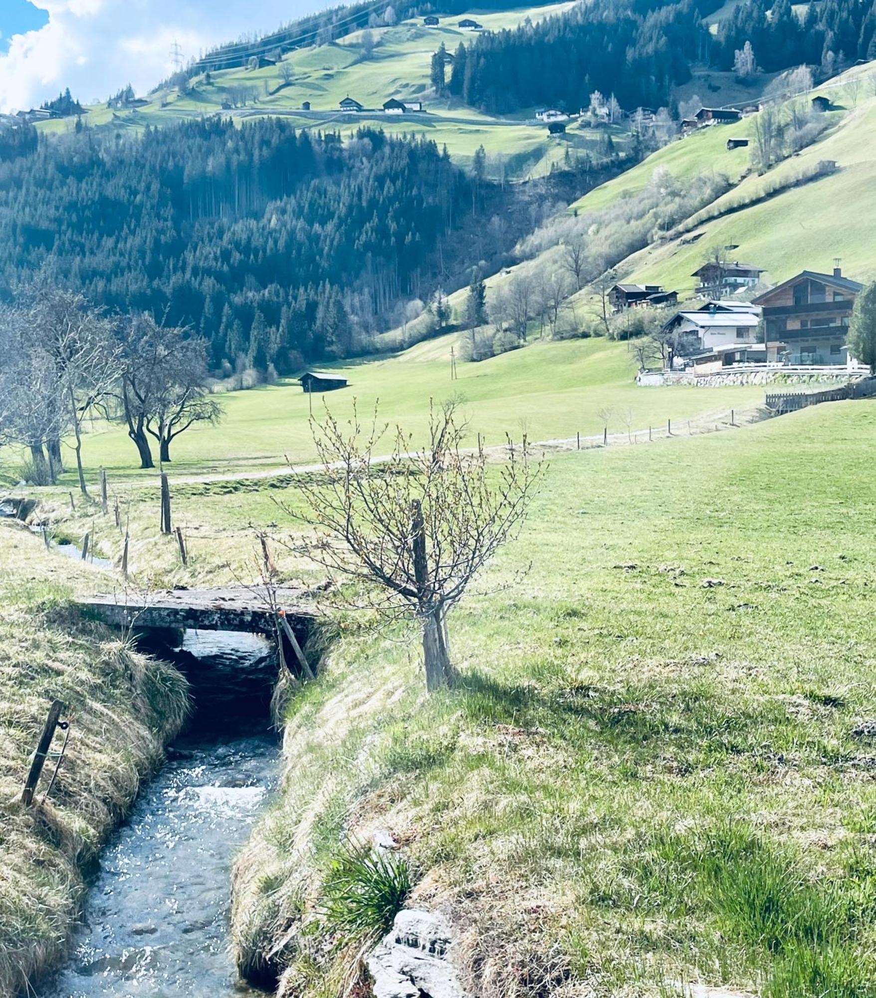 Apartment Weitblick Wald im Pinzgau Εξωτερικό φωτογραφία
